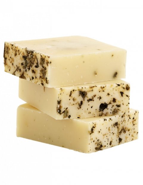 Brændenælde Brændenælde