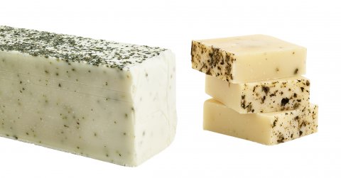 Brændenælde Brændenælde